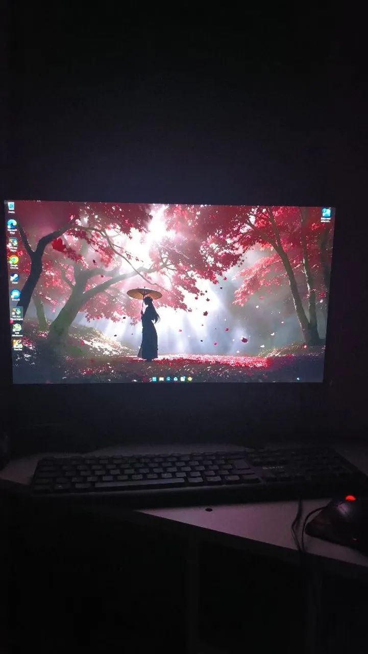 Monitor gamer
