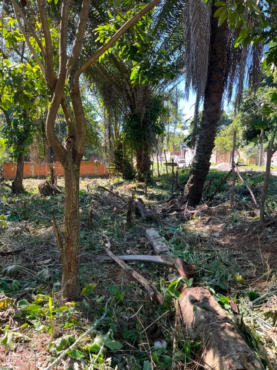Vendo terreno em jardim primavera  - Foto 3