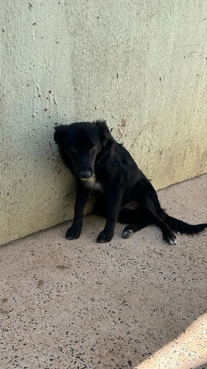 Doação 