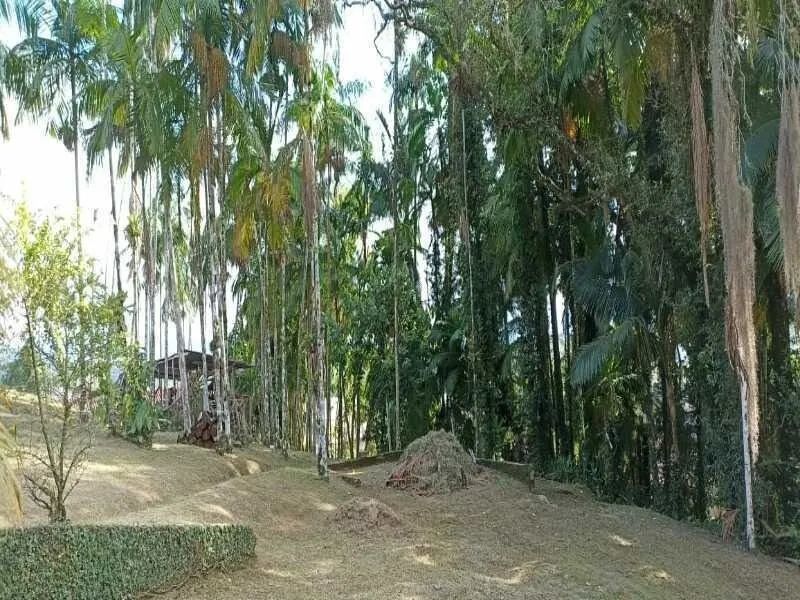 Terreno TIMBÓ - SC - Foto 4
