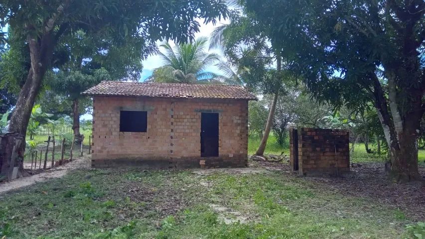 Vende se sítio  - Foto 2