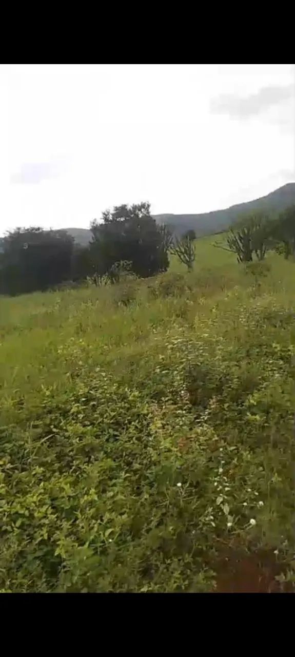 Terreno bom para sítio ou chácara  - Foto 2