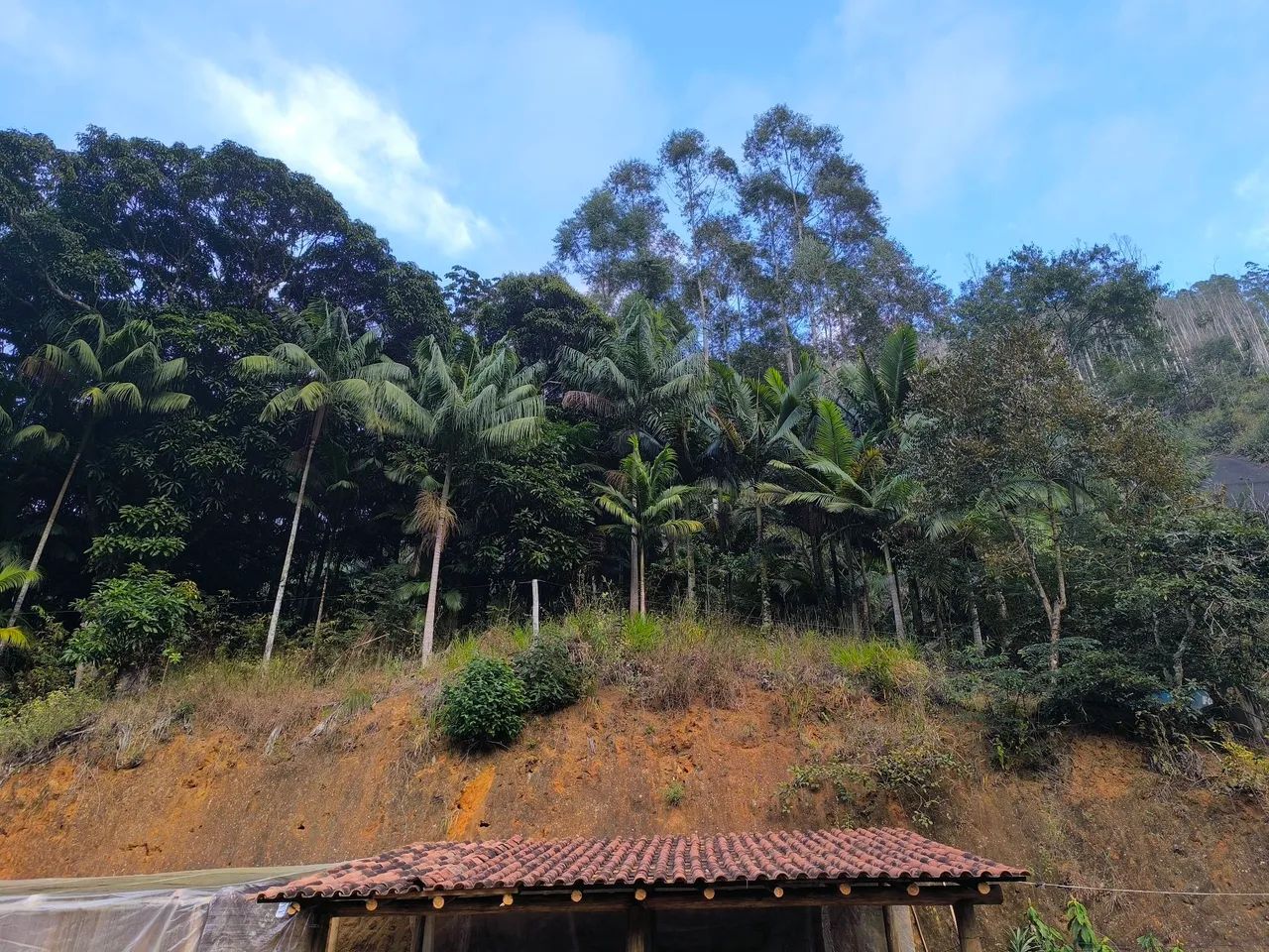 Sítio zona rural de conceição do castelo es - Foto 2
