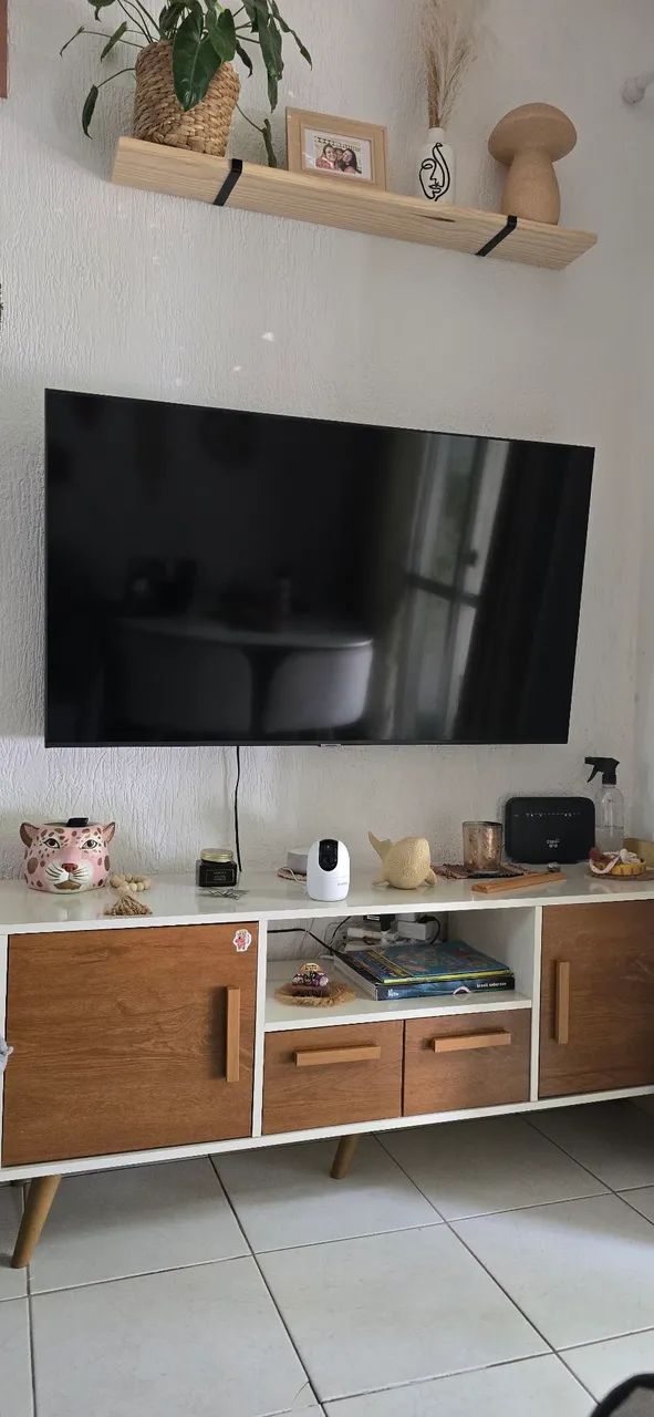 Televisão
