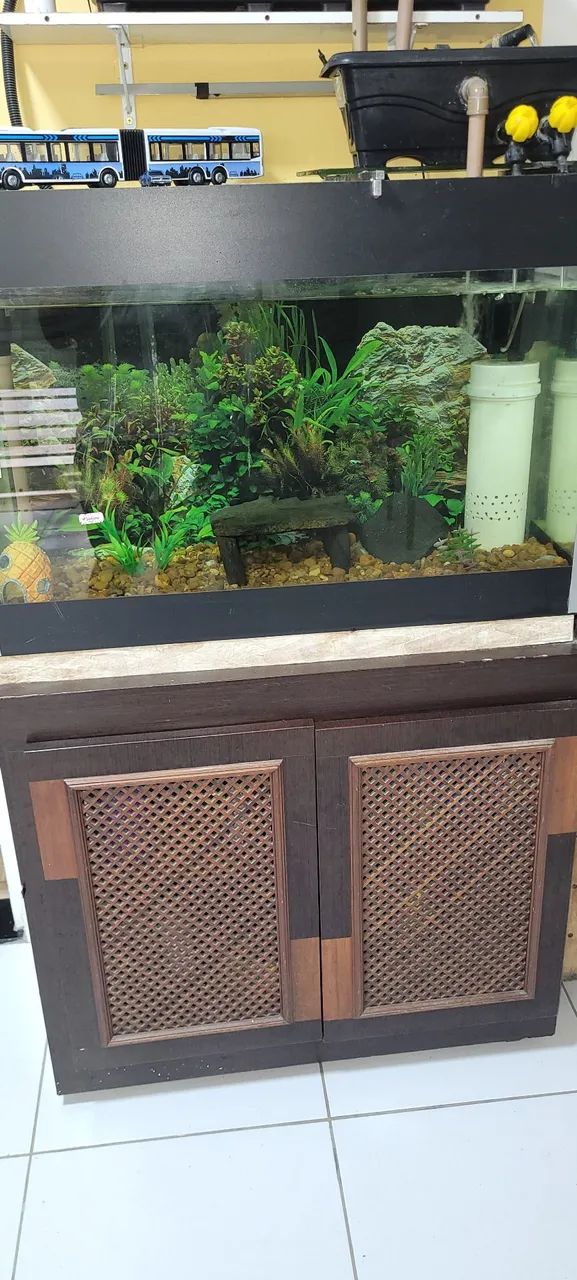 Aquário completo 180 litros - Foto 3