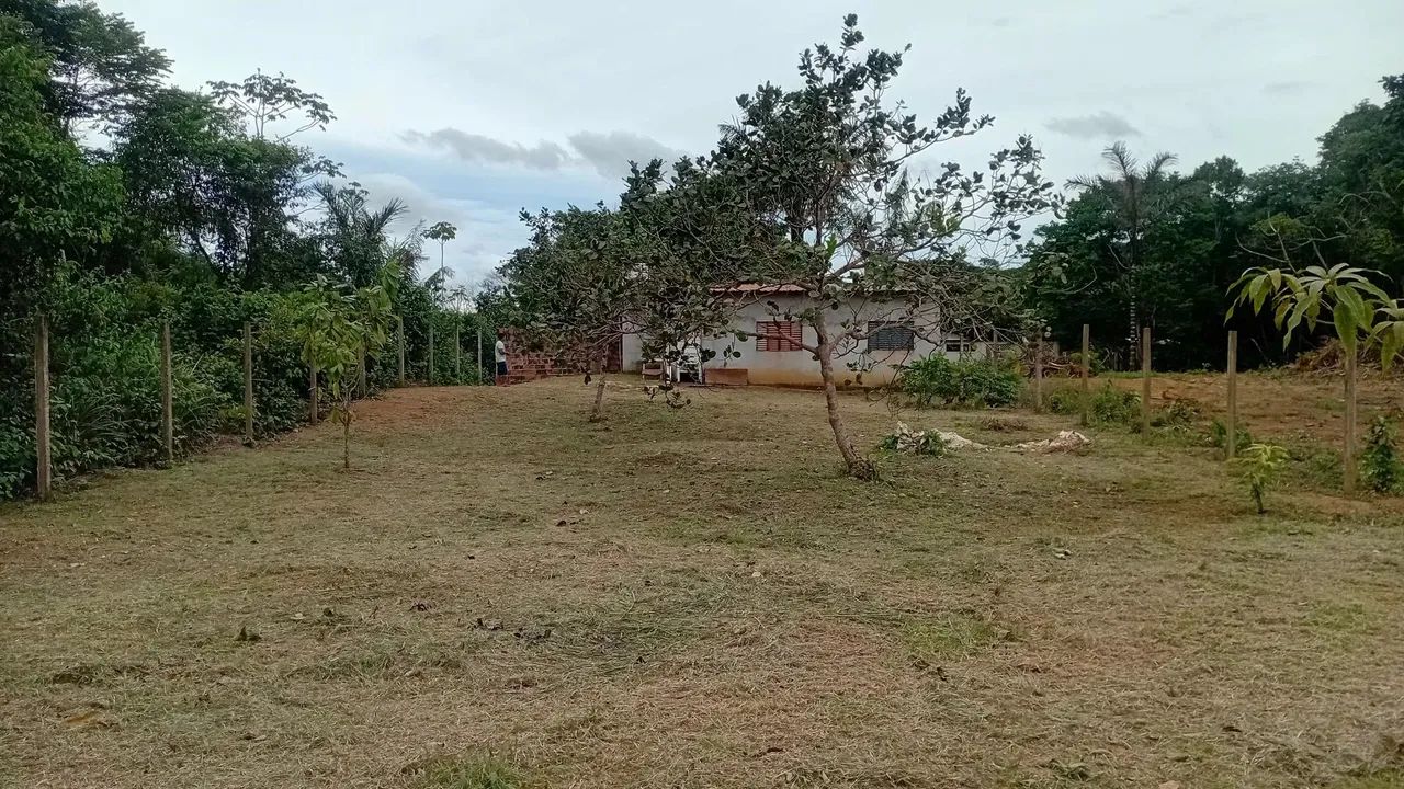 Terreno com casa  - Foto 5