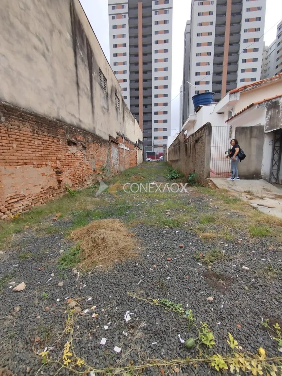 terreno - Bonfim - Campinas - Foto 5