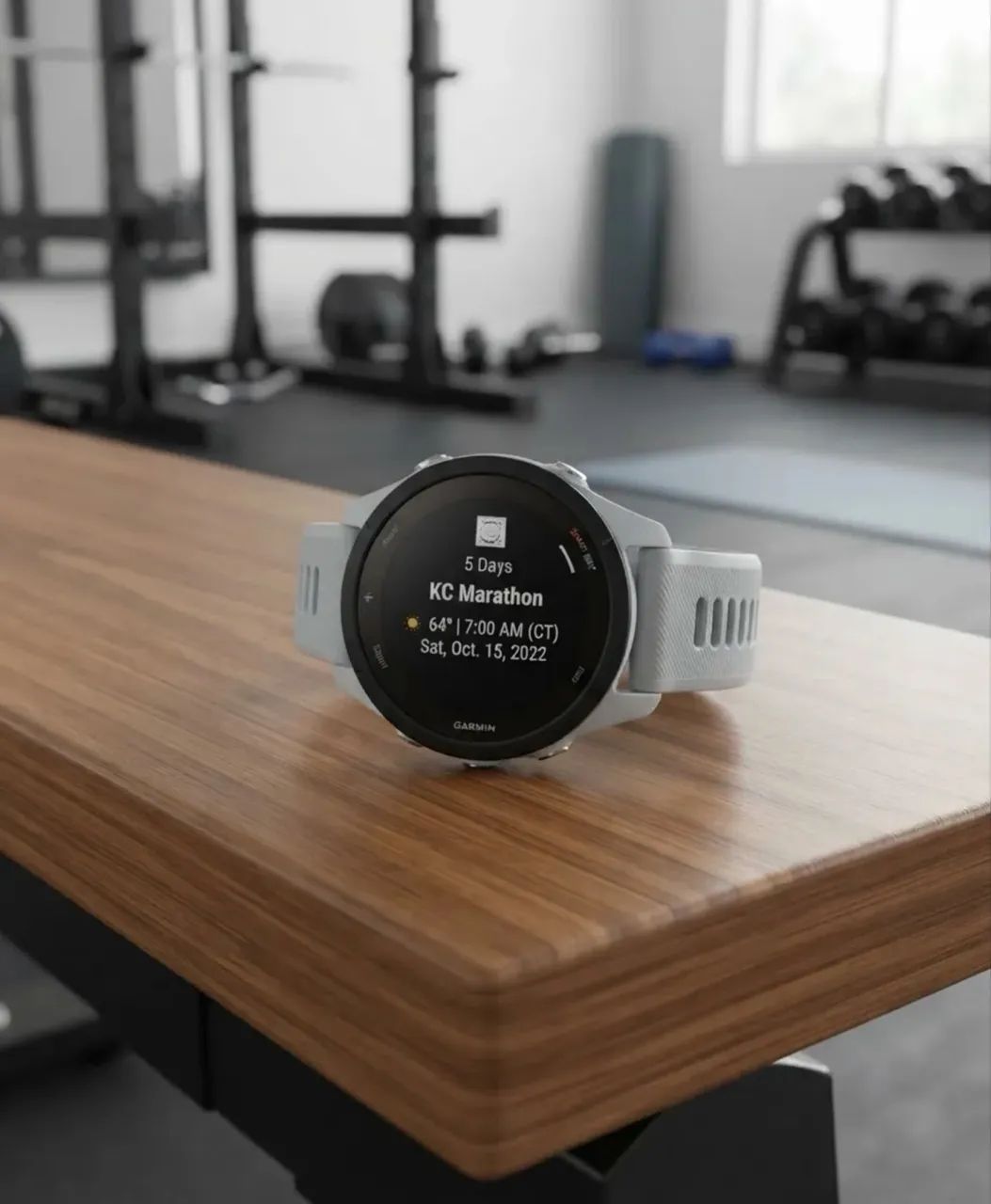 Garmin 255 cinza  - Foto 4
