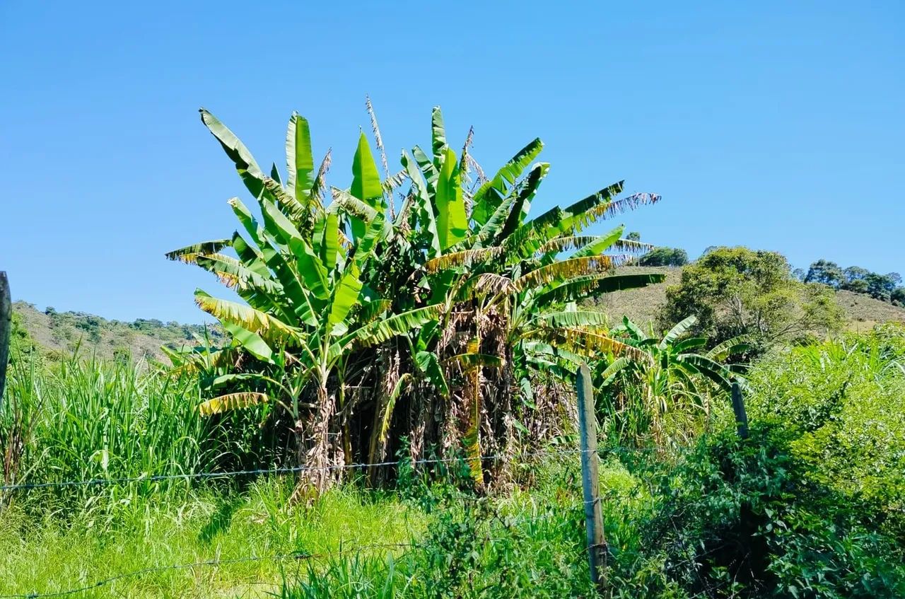 Sítio 44 hectares 