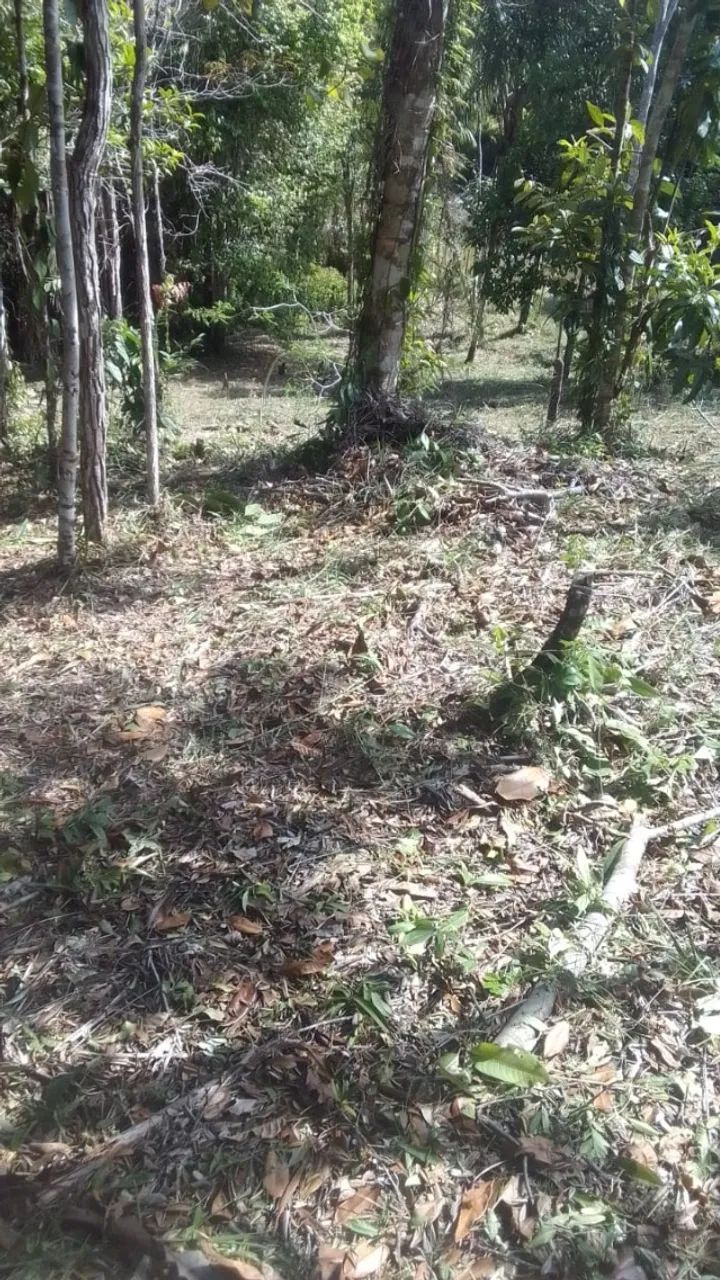 Terreno 1.000m² em Serra Grande - Foto 3