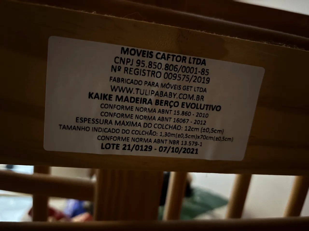 berço evolutivo  - Foto 5