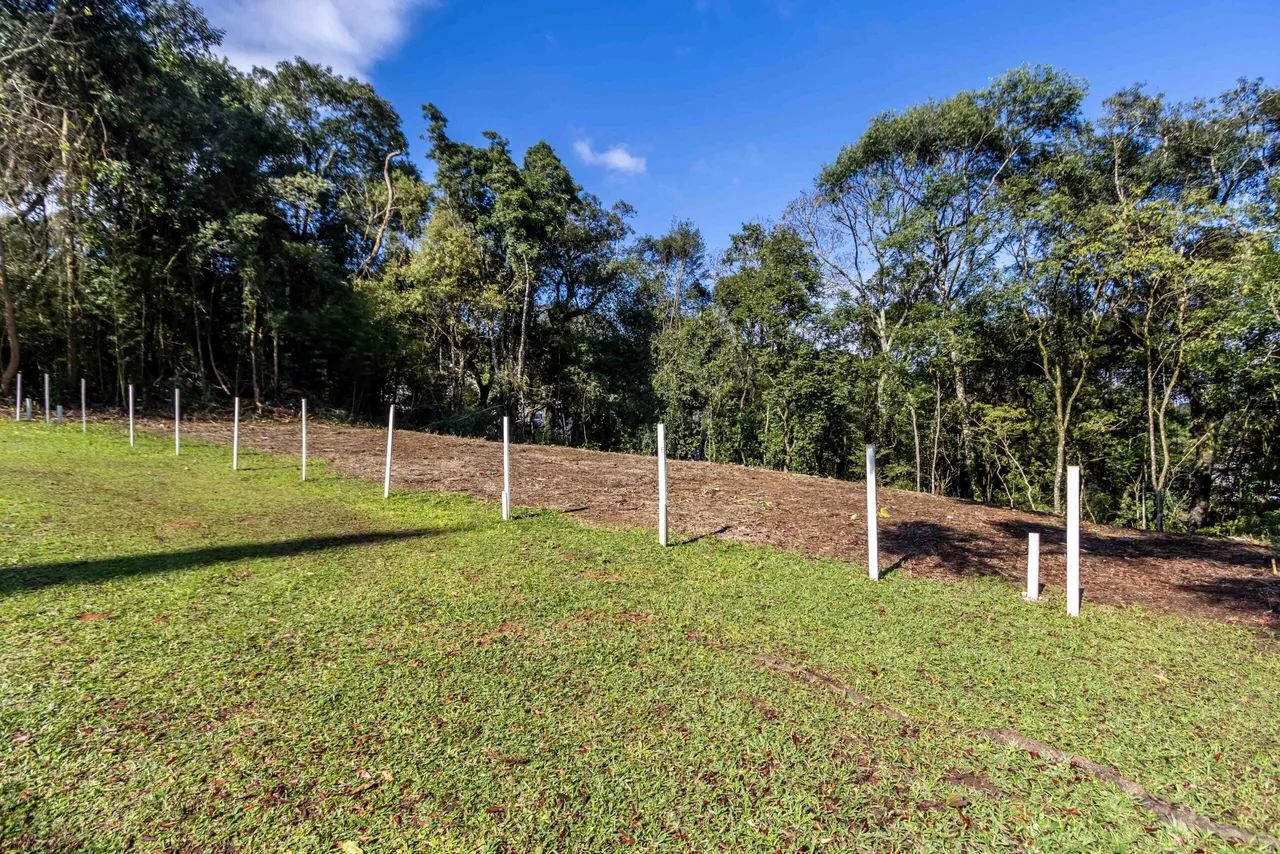 Terreno no Mossungê - ARYA 1 - Foto 2