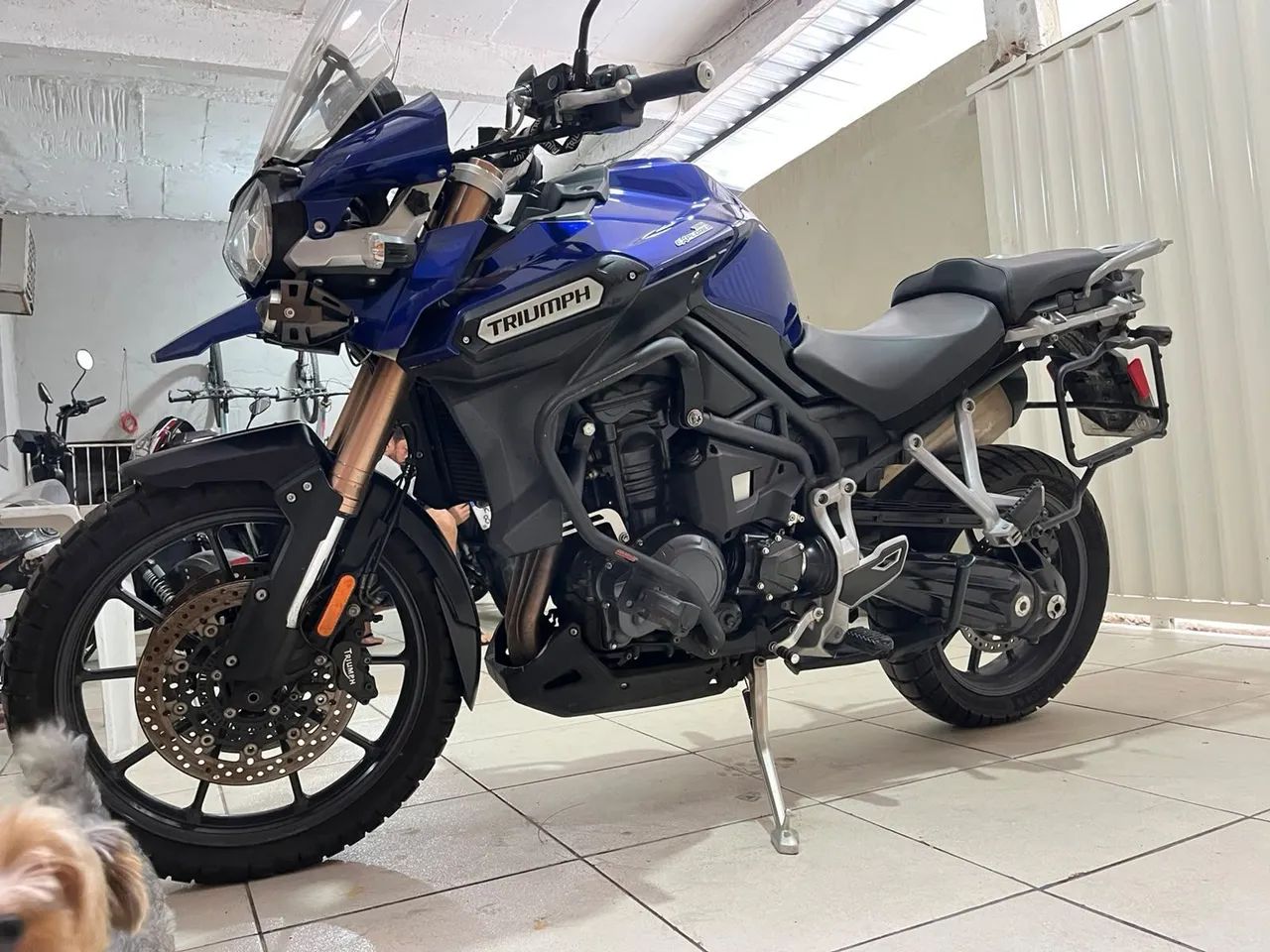 Tiger Explorer 1200 - Foto 5
