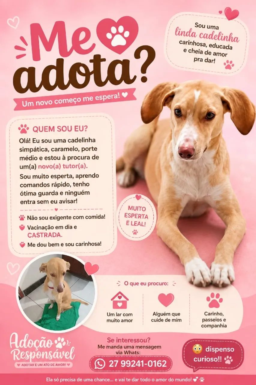 animal estimação