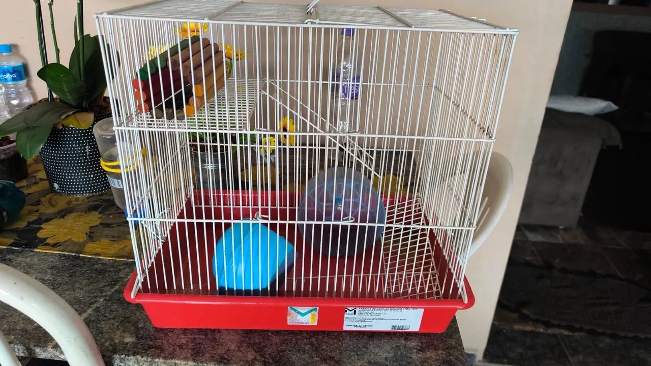 Gaiola hamster65171893304962121