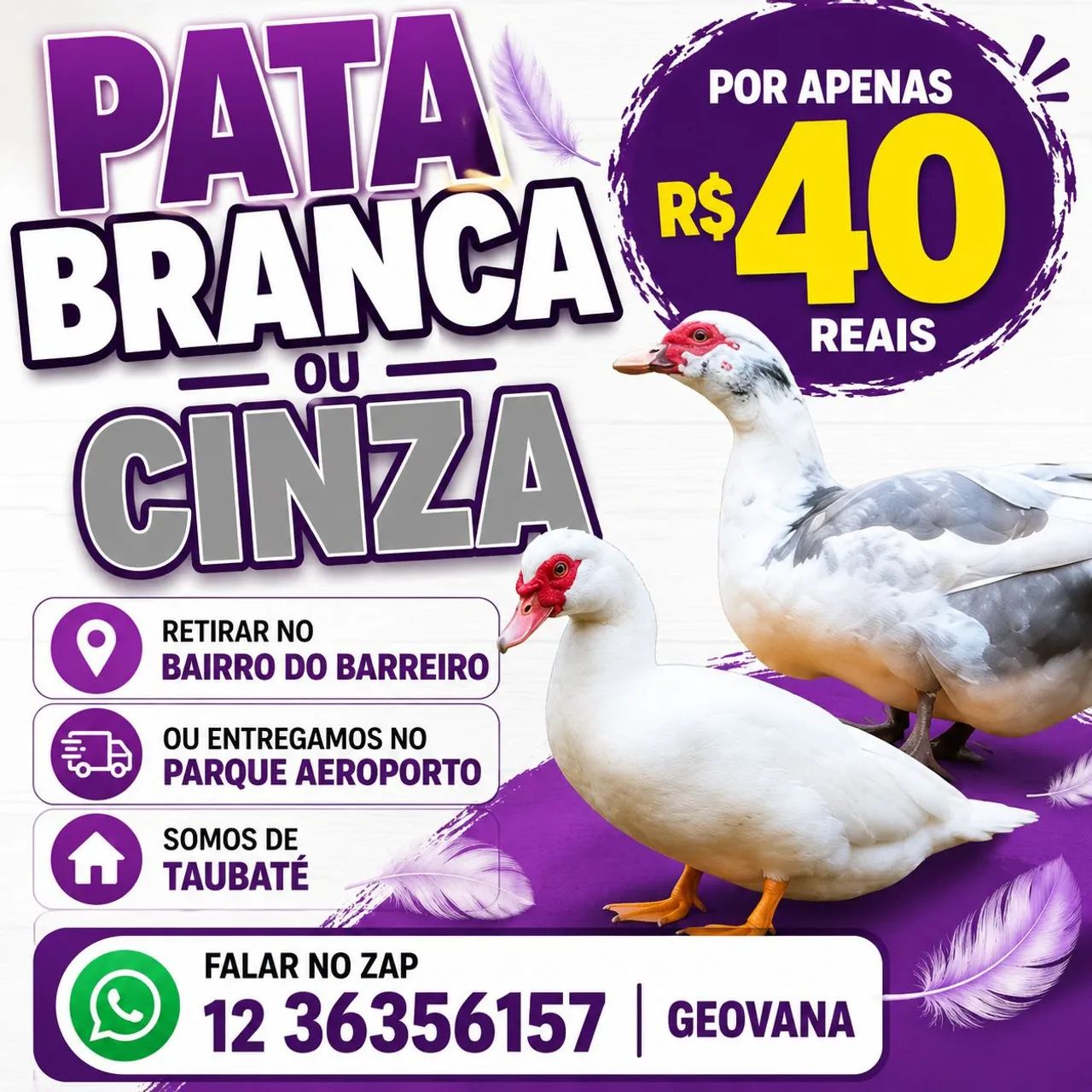Pata 