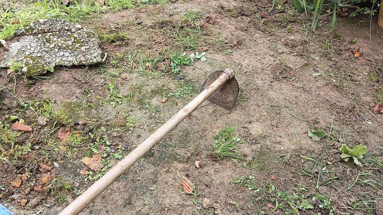 Limpeza de terrenos capinar roçar   l - Foto 2