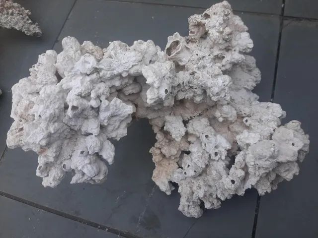 Corais e rochas naturais (peças grandes e raras) - Foto 5
