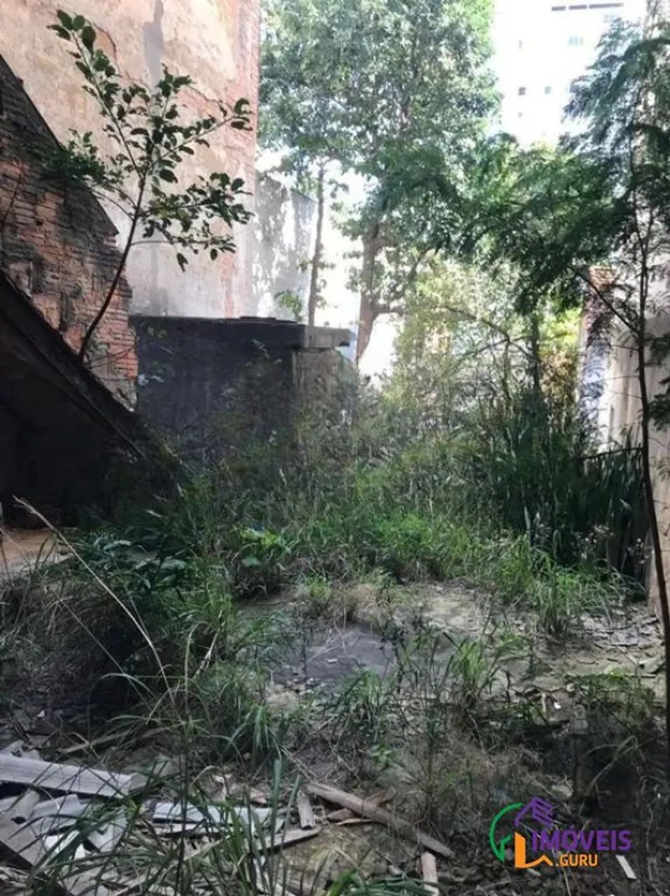 AREA - PERDIZES - SP - Foto 4