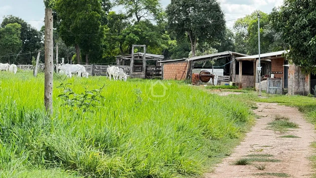 SITIO COM 31 HECTARES FORMADO - Foto 3