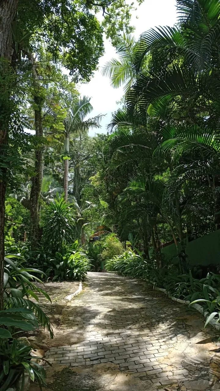 Casa - Praia de Maresias - Foto 5