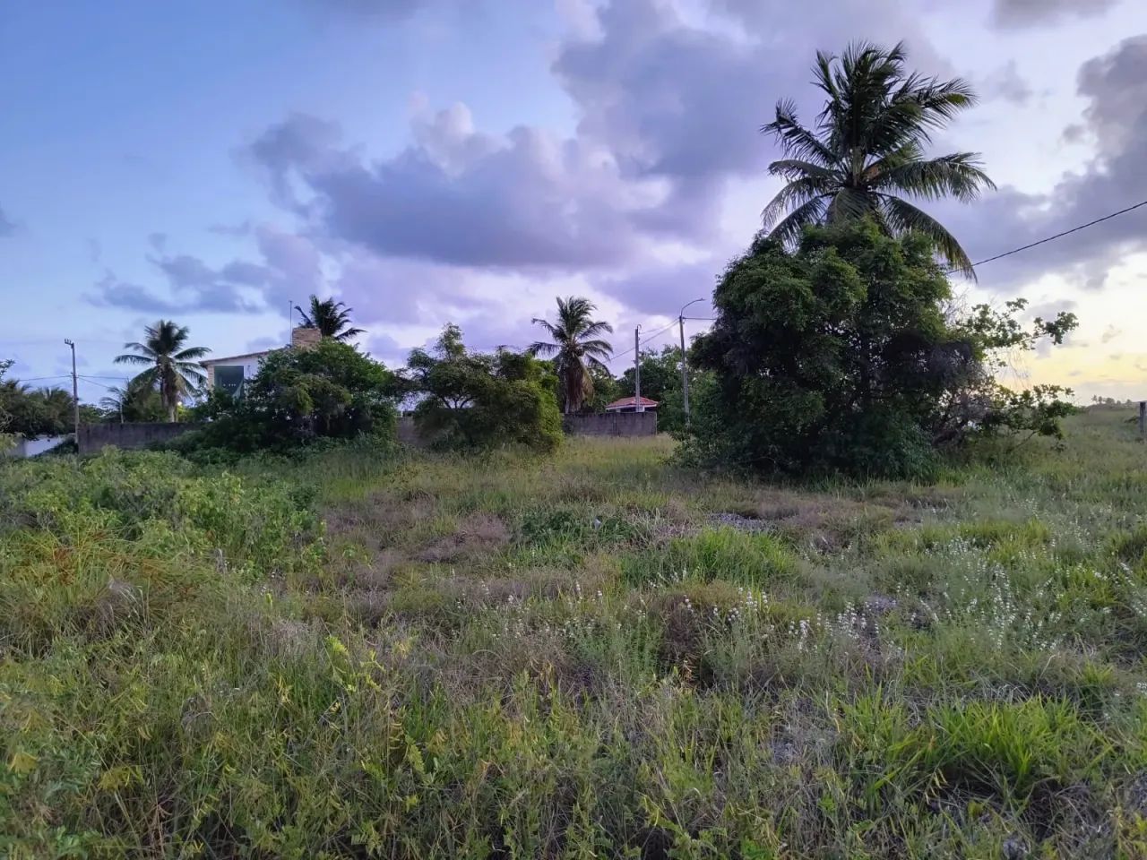 Loteamento quitado - Porto de Galinhas - Oportunidade!! - Foto 5