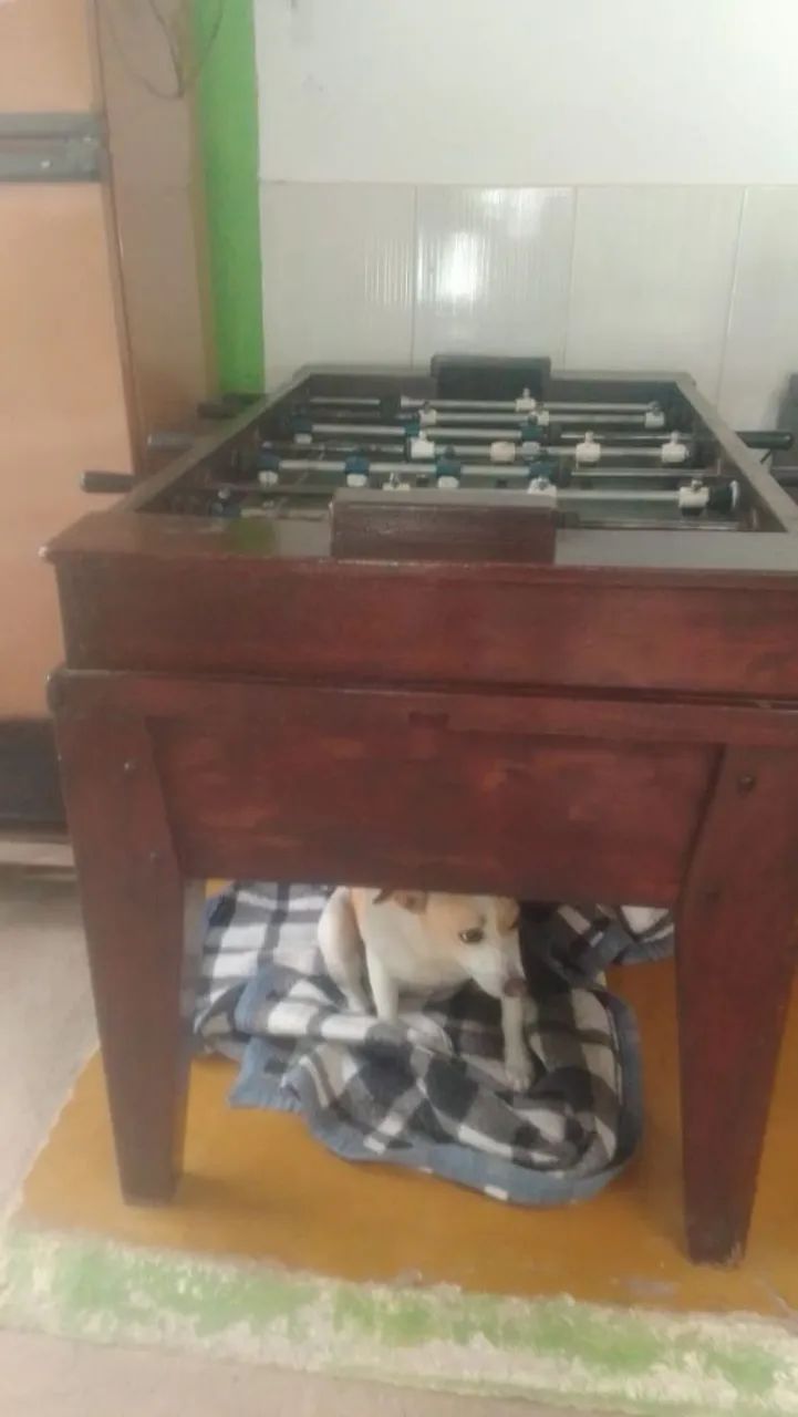 Toto de madeira  - Foto 3