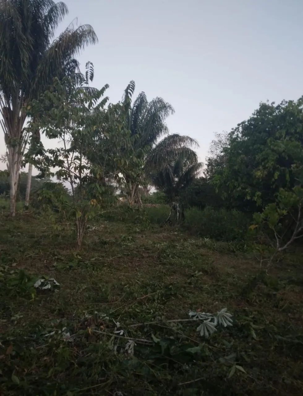 VENDO TERRENO OU TROCO - Foto 4