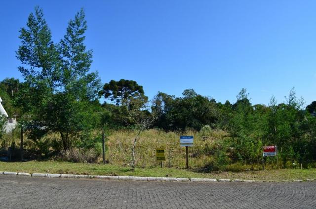 Terreno à venda, 728 m² por R$ 355.000,00 - Prinstrop - Gramado/RS