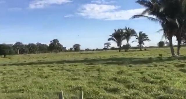 Fazenda em Santo Antônio do Leverger 9.880 hectares - Foto 9