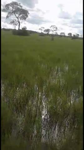 Fazenda em Santo Antônio do Leverger 9.880 hectares - Foto 10