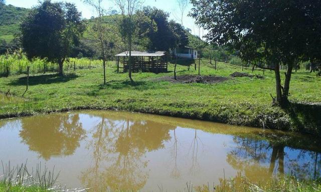 Belíssimo sítio em Cachoeiras de Macacu RJ 122 oportunidade!!! - Foto 5