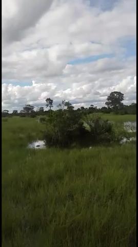 Fazenda em Santo Antônio do Leverger 9.880 hectares - Foto 18