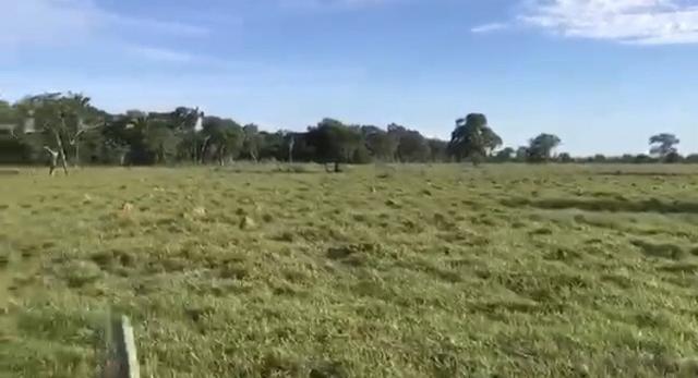 Fazenda em Santo Antônio do Leverger 9.880 hectares - Foto 8
