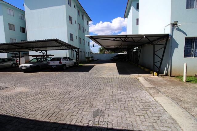 Apartamento com 2 quartos no Sitio Cercado. - Foto 2