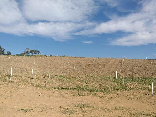 Vendo meus 2lotes de 1000m² urgente