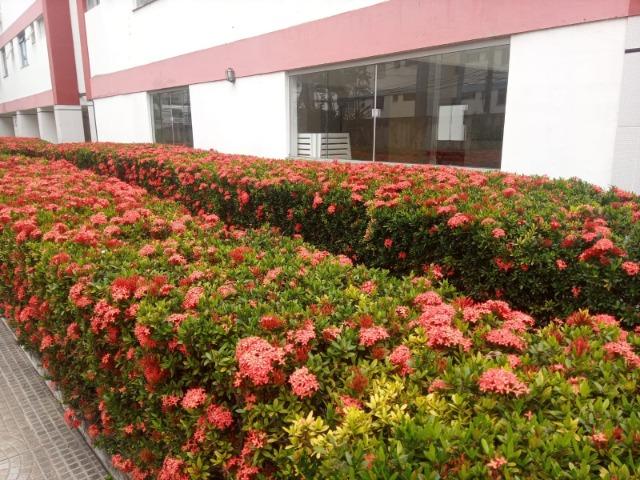 Casas Linda no Imbui ! Confira - Foto 16