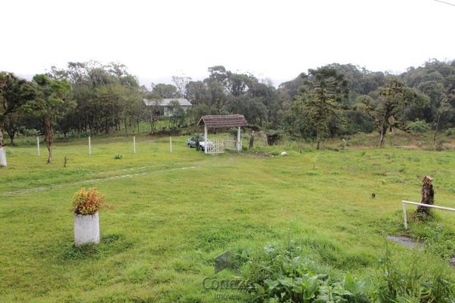Chácara no Barro Branco em São José dos Pinhais