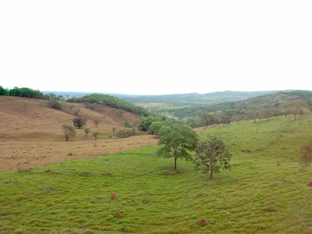 100% cultura. Fazenda 44 Alqueires ( 213 ha ) Cromínia-GO - Foto 2