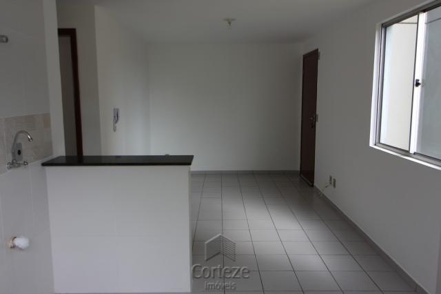 Apartamento 2 dormitórios no Sitio Cercado - Foto 4