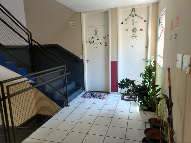 Apartamento Cdhu No Matao Condominio Camanducaia Sumare - Foto 8