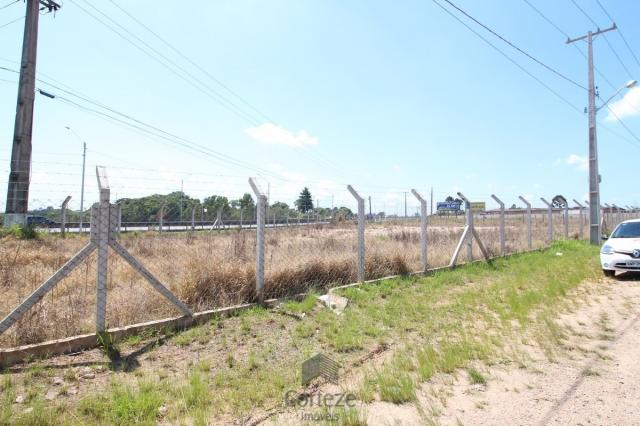 Terreno na Região do São Marcos BR-376