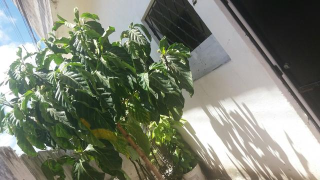 Casa só para troca em areias