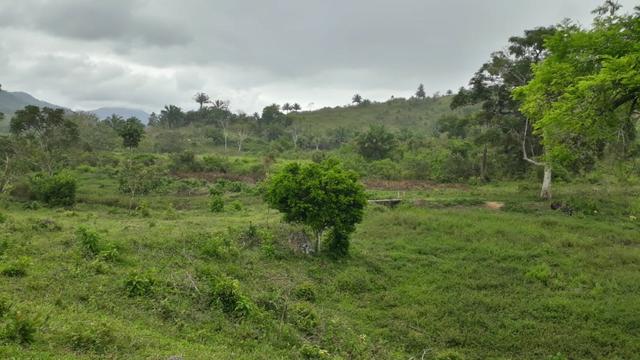 Fazenda com excelente localização - Foto 15