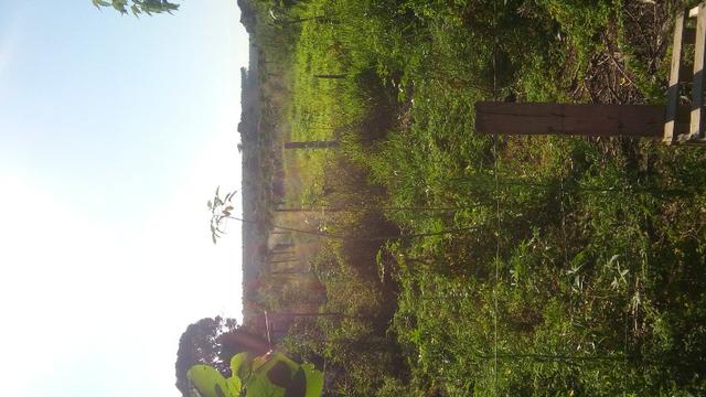 Sitio - Foto 5