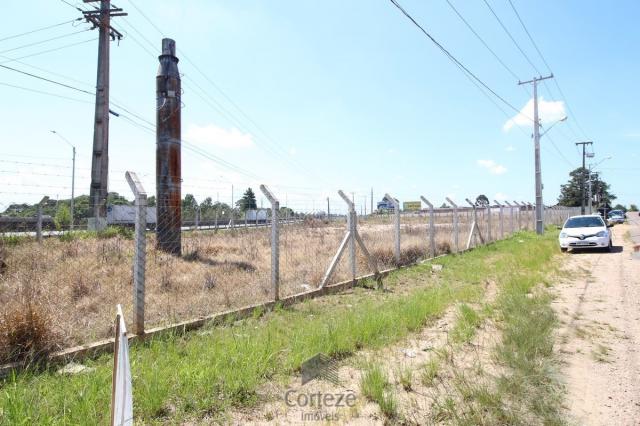 Terreno na Região do São Marcos BR-376 - Foto 4