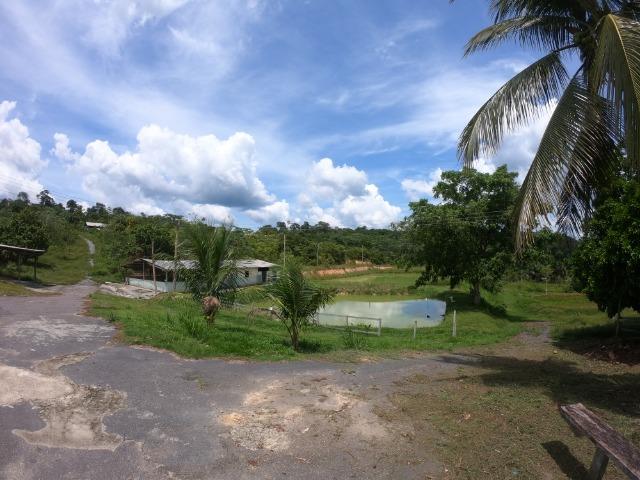 Fazenda Produtiva 1200 x 1100 com 20 tanques peixes em Rio Preto da Eva - Foto 20