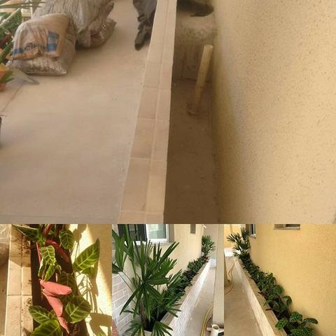Manutenção de jardim - Foto 4