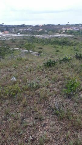 Terrenos - Foto 3