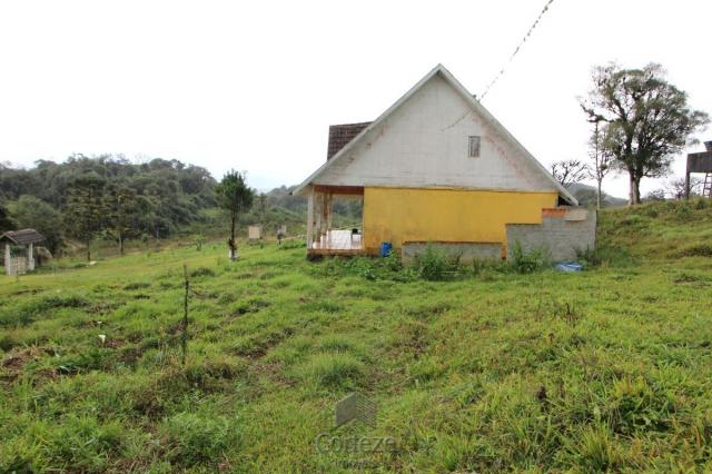 Chácara no Barro Branco em São José dos Pinhais - Foto 10